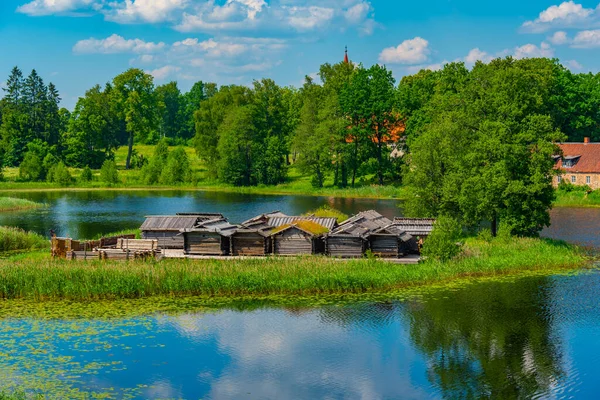 Vista Aérea Casas Madera Lago Araisi Vivienda Sitio Etnográfico Letonia — Foto de Stock