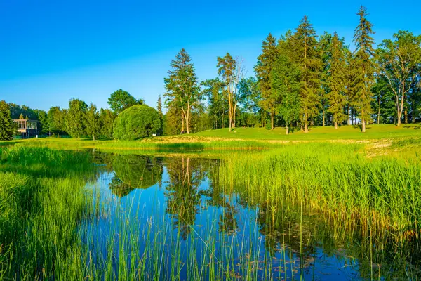 Parque Junto Lago Puhajrv Estonia — Foto de Stock
