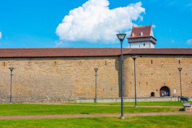 Estonya 'daki Narva Kalesi manzarası.