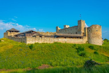 Estonya 'daki Rakvere Linnus kalesi.