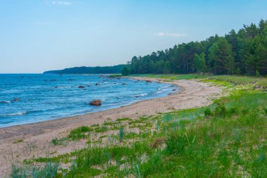 Estonya köyü yakınlarındaki sahil Altja.