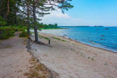 Estonya köyü yakınlarındaki sahil Altja.