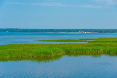 Estonya kıyıları Kasmu köyü yakınlarında..