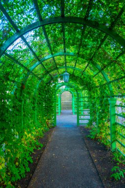 Estonya 'nın başkenti Tallin' in üst bahçesindeki yeşil tünel.