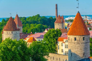 Patkuli bakış açısından Tallian 'ın havadan görüşü, Estonya.