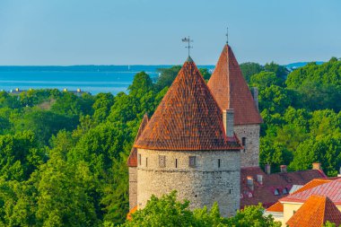 Detail of the medieval fortification in the Estonian capital Tallin..