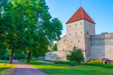 Estonya başkenti Tallin 'deki ortaçağ istihkamının ayrıntıları..