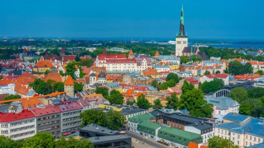 Estonya 'daki Viru Otel' den Tallinn 'in Panorama Manzarası.
