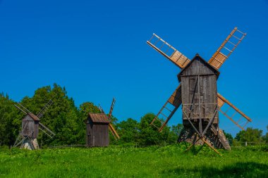 Tallin 'deki Estonya Açık Hava Müzesi' nde rüzgar değirmeni.