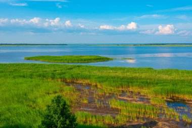 Haapsalu kasabası yakınlarındaki Estonya kıyıları.