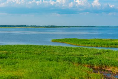 Haapsalu kasabası yakınlarındaki Estonya kıyıları.
