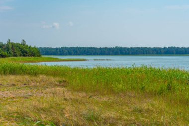 Kiipsaare yarımadası yakınlarındaki Estonya kıyıları.