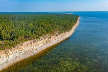 Estonya 'nın Saaremaa adasındaki Panga kayalıkları.