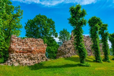 Estonya 'daki Viljandi Kalesi Harabeleri.