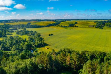 Letonya 'nın tarım manzarasının panorama görüntüsü.