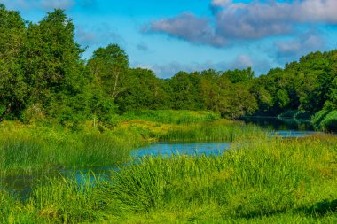 Letonya 'daki Abava nehrinin görüntüsü.