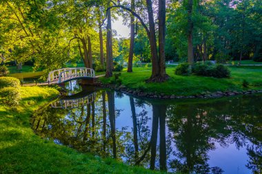 Litvanya 'daki Palanga parkının doğal manzarası.