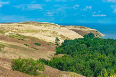 Litvanya 'daki Curonian tükürüğünde Nagliai kum tepesi.