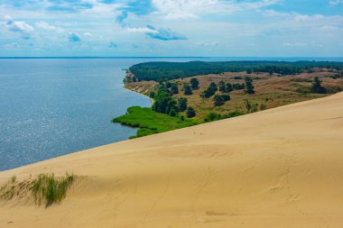 Litvanya 'daki Curonian tükürüğünde Nagliai kum tepesi.