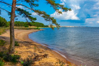 Litvanya 'da Curonian tükürüğü kıyısı.