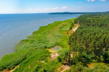 Litvanya 'da Curonian tükürüğü kıyısı.