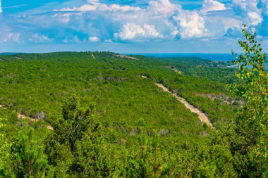 Litvanya 'daki Curonian tükürük yarımadasının Panorama manzarası.