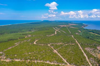 Litvanya 'daki Curonian tükürük yarımadasının Panorama manzarası.