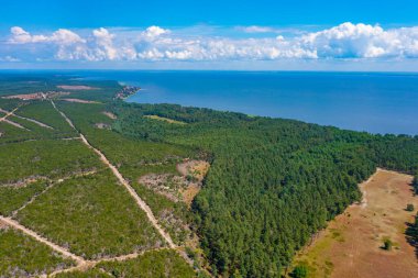 Litvanya 'daki Curonian tükürük yarımadasının Panorama manzarası.