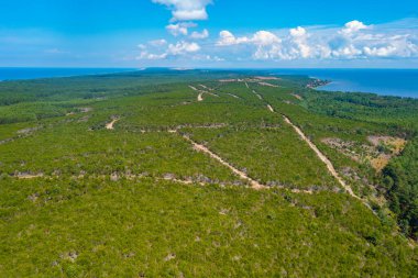 Litvanya 'daki Curonian tükürük yarımadasının Panorama manzarası.