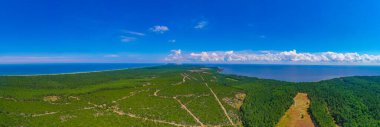 Litvanya 'daki Curonian tükürük yarımadasının Panorama manzarası.