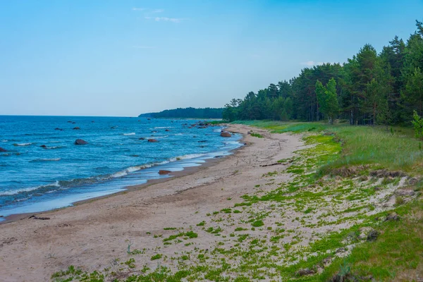 Plaja Lângă Satul Estonian Altja — Fotografie, imagine de stoc