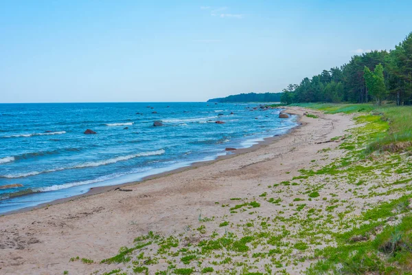 Strand Der Nähe Des Estnischen Dorfes Altja — Stockfoto