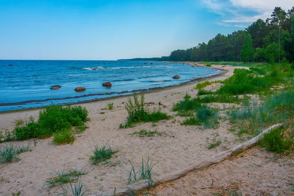 Пляж Возле Эстонского Села Алтя — стоковое фото
