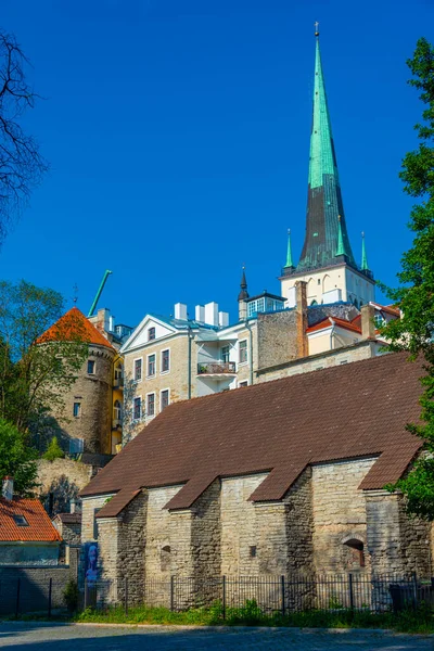 Detalle Fortificación Medieval Capital Estonia Tallin —  Fotos de Stock