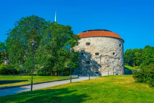 Detail Medieval Fortification Estonian Capital Tallin — Zdjęcie stockowe