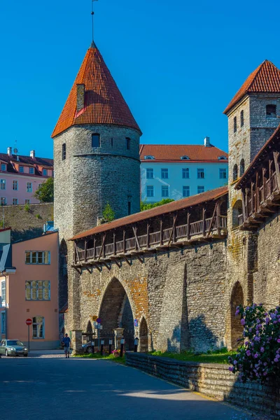 Detalle Fortificación Medieval Capital Estonia Tallin — Foto de Stock