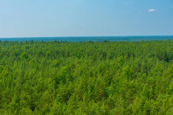 エストニアのサアレマ島の森林景観の空中写真 — ストック写真