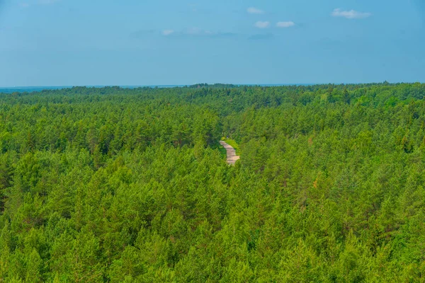 エストニアのサアレマ島の森林景観の空中写真 — ストック写真