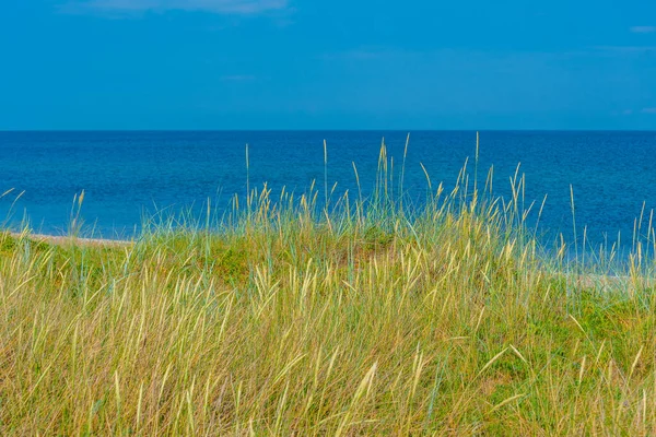 キプサレ半島の近くのエストニア海岸 — ストック写真