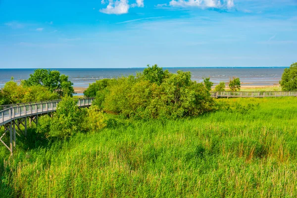 stock image Parnu coastal meadow hiking trail, Estonia