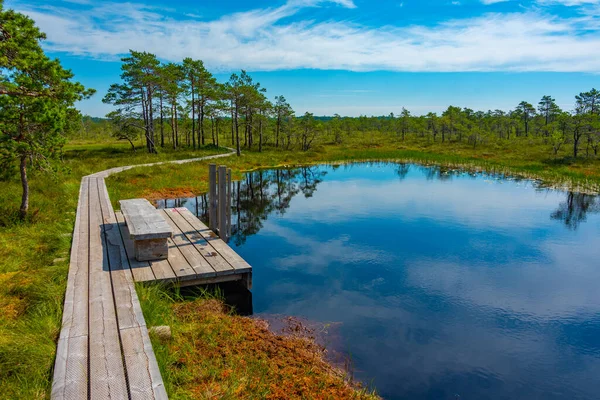 Estonya 'daki Soomaa Ulusal Parkı' nda yüzme platformu.