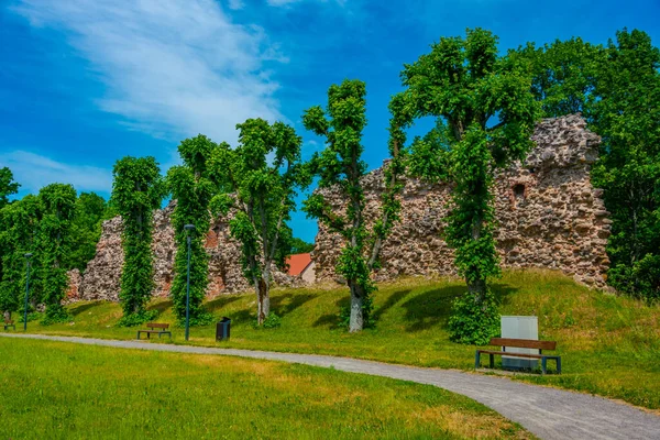 Castillo Viljandi Ruinas Estonia —  Fotos de Stock