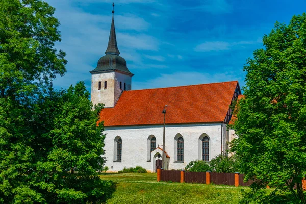 爱沙尼亚Viljandi Jaani教堂景观 — 图库照片