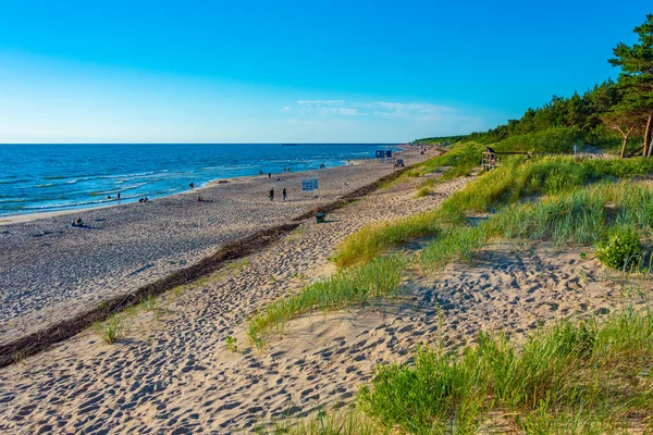 Słoneczny Dzień Plaży Palanga Litwa — Zdjęcie stockowe