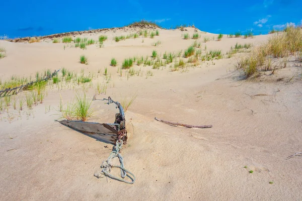 stock image Nagliai dune at Curonian spit in Lithuania.