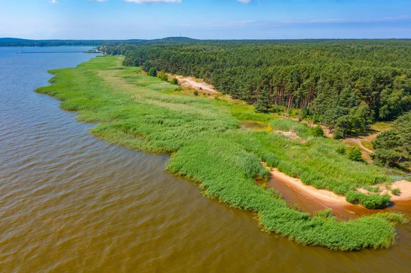 stock image Coastline of Curonian spit in Lithuania.