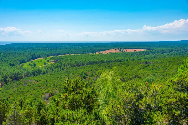 Panorama Vista Península Cuspo Curonian Lituânia — Fotografia de Stock