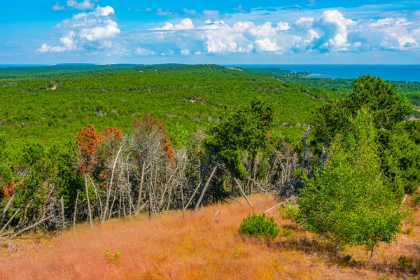 Panorama Pohled Poloostrov Curonian Spit Litvě — Stock fotografie
