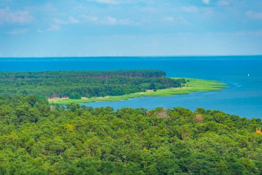 Litvanya 'daki Curonian tükürük yarımadasının Panorama manzarası.