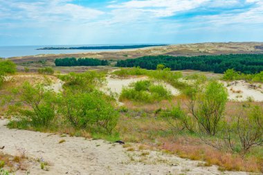 Litvanya 'da Curonian tükürüğünde parnidis kum tepesi.
